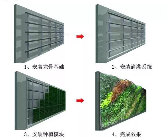 3.4.1屋顶绿化和垂直绿化
