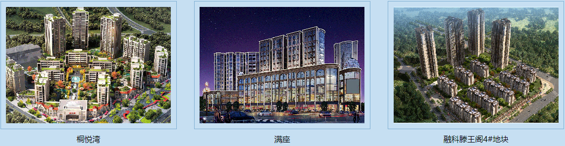 成都美厦建筑设计有限公司