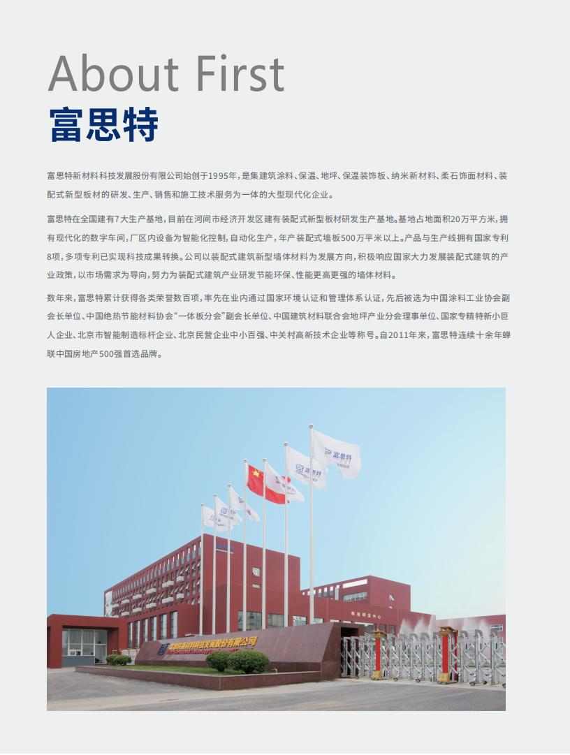 富思特新材料科技发展股份有限公司