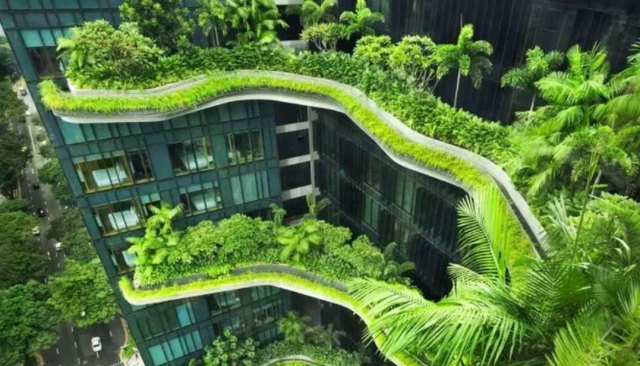 绿色建筑，是一种高质量建筑，更好地处理与自然的关系
