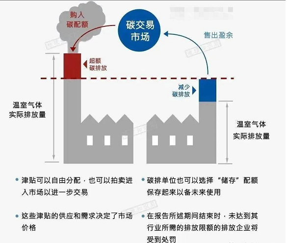 能源危机下，碳中和的“蓝碳”路径