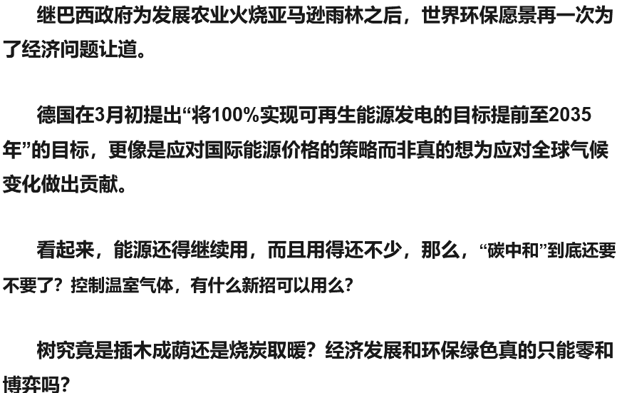 能源危机下，碳中和的“蓝碳”路径