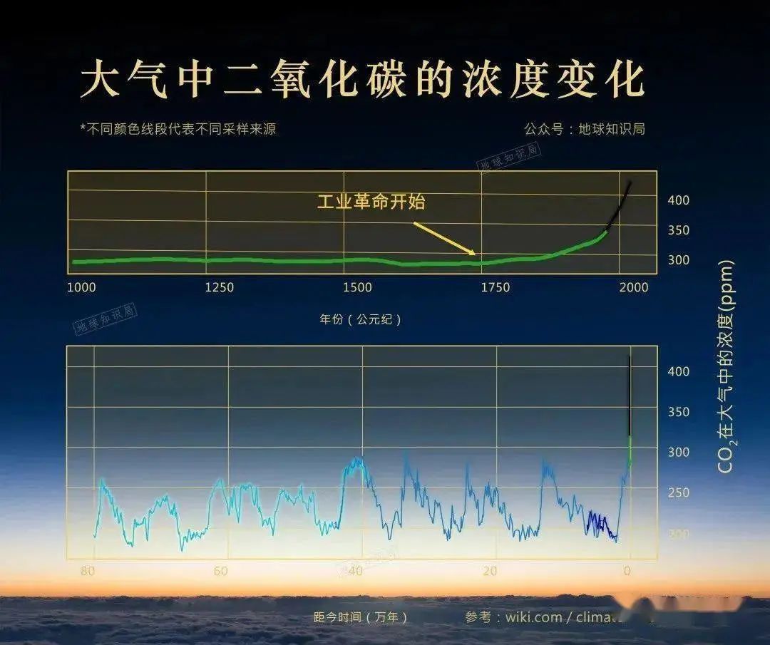 能源危机下，碳中和的“蓝碳”路径