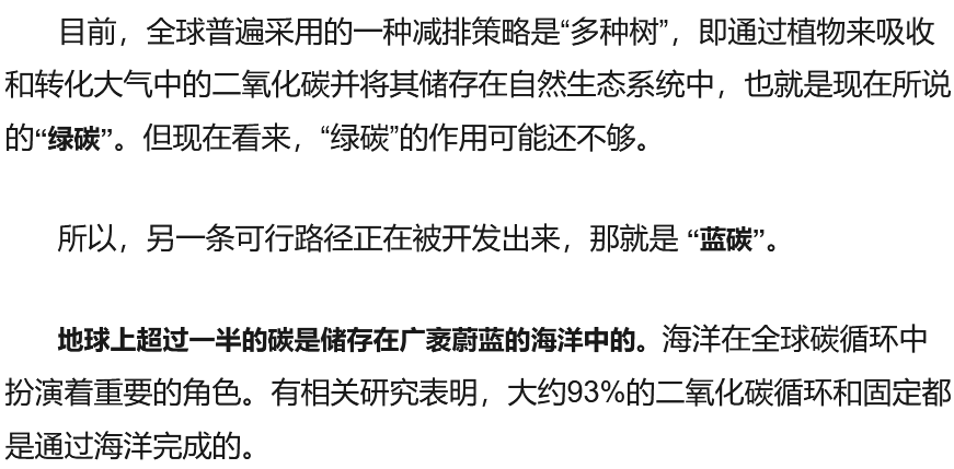 能源危机下，碳中和的“蓝碳”路径