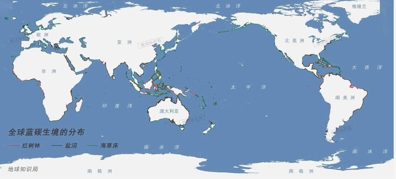 能源危机下，碳中和的“蓝碳”路径