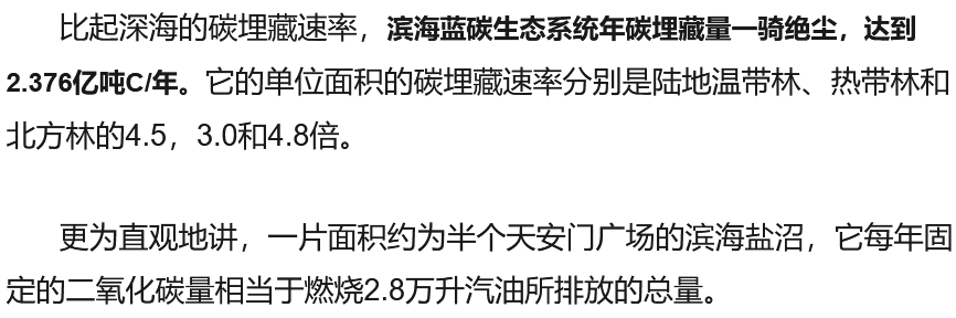 能源危机下，碳中和的“蓝碳”路径