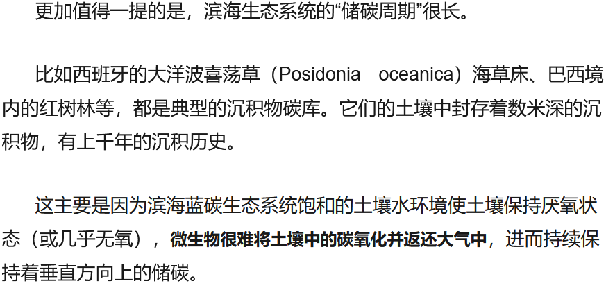 能源危机下，碳中和的“蓝碳”路径