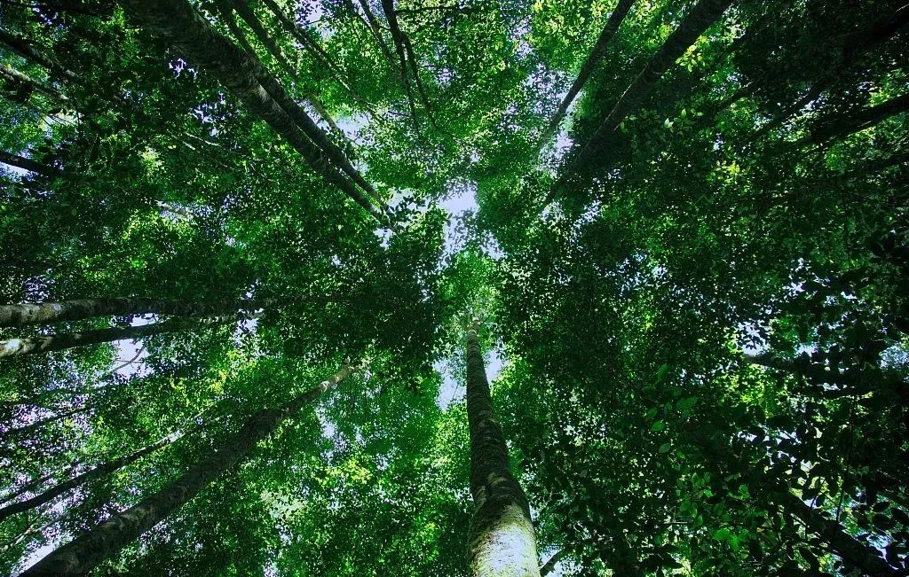 浅谈绿色建筑在医疗建筑中的设计应用