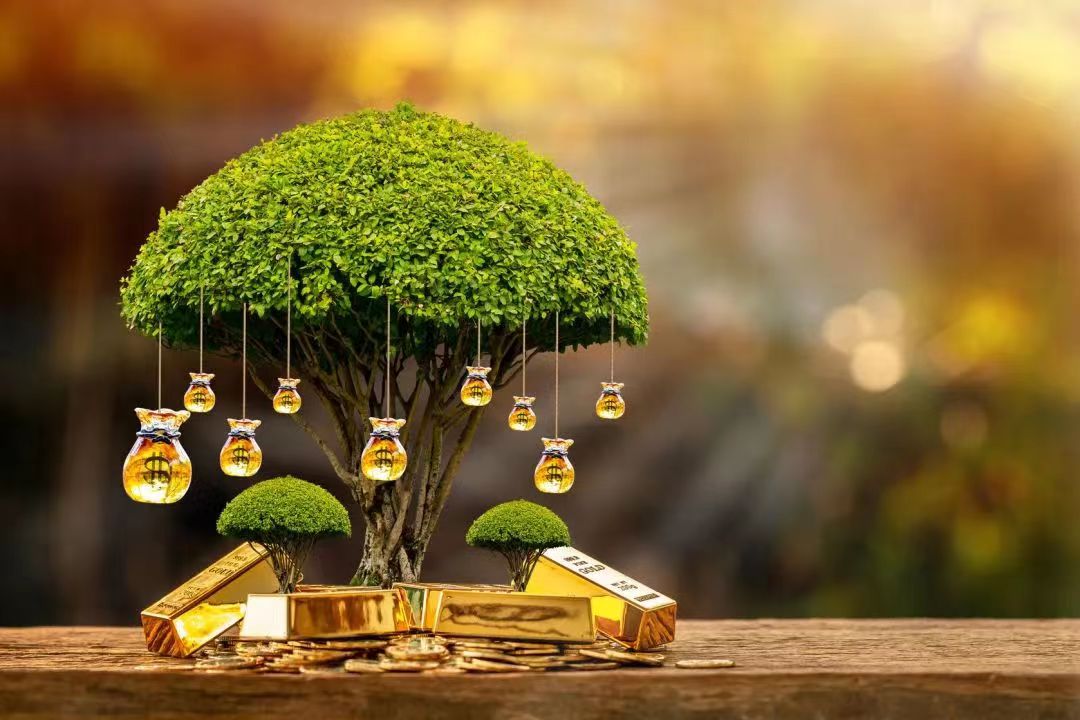 双碳观点 | 金融体系如何在低碳转型中发挥重要作用？