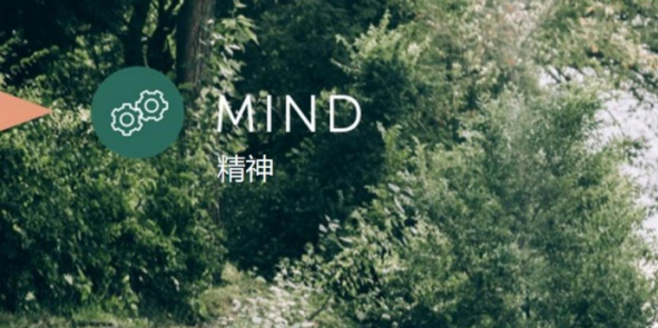 WELL体系自学--第10课 精神 MIND（中文知识点）