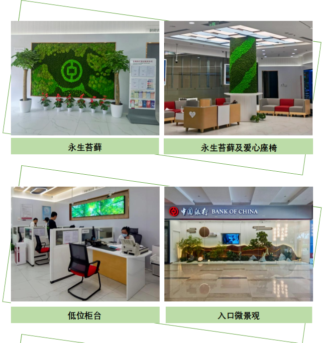 【项目案例】上海市绿色银行示范网点：中国银行虹口支行