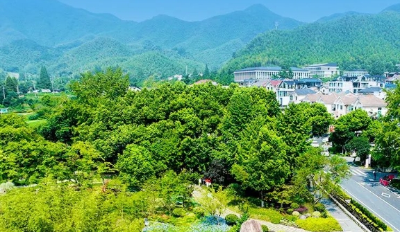 《中共中央 国务院关于全面推进美丽中国建设的意见》涉及绿色低碳