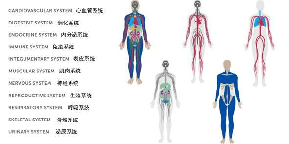 健康建筑WELL体系整体介绍