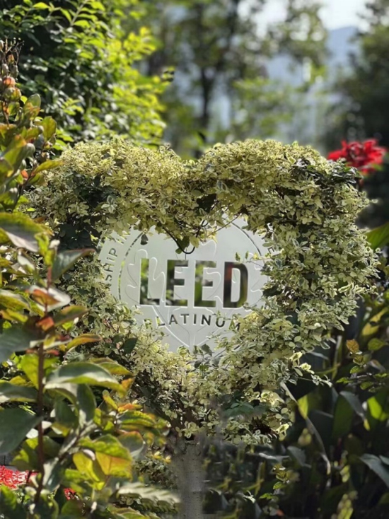 LEED v5 ID+C介绍 (室内设计和施工)