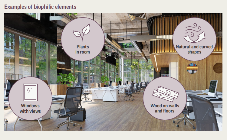 10.8 Biophilic Environments 亲自然环境